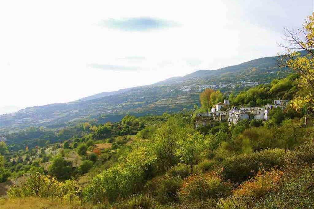 Casa Carmela, Rural House With Spectacular Views, In An Exquisite Area Βίλα Atalbeitar Εξωτερικό φωτογραφία