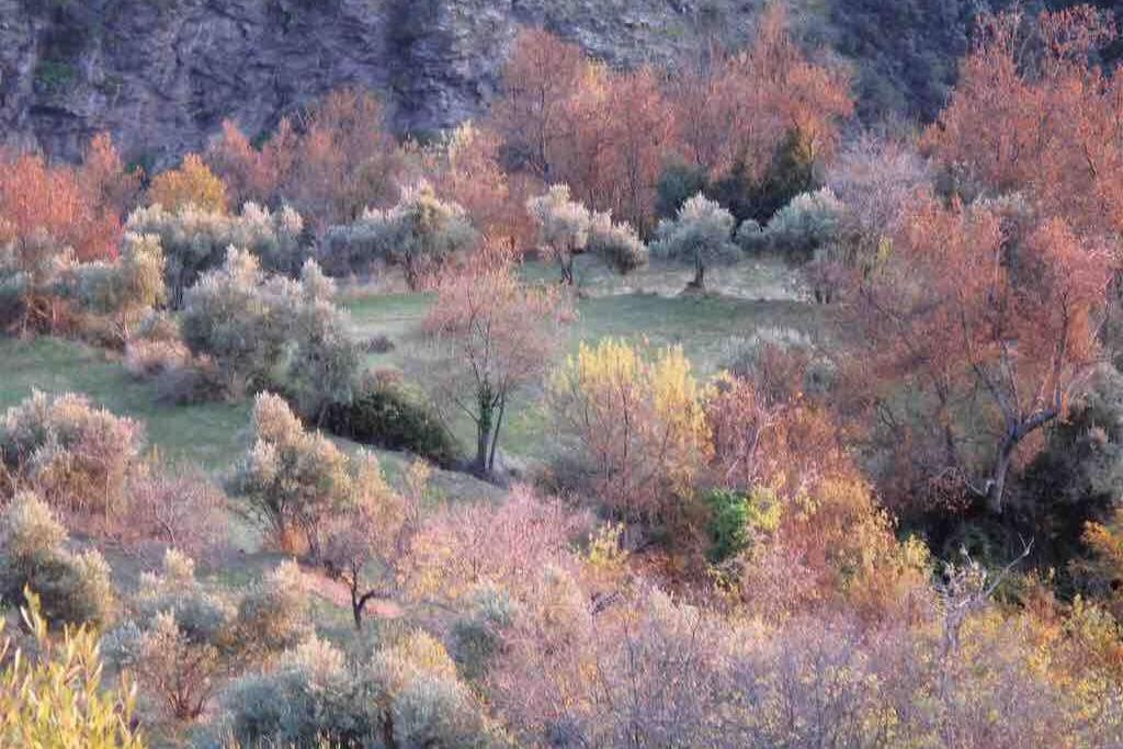 Casa Carmela, Rural House With Spectacular Views, In An Exquisite Area Βίλα Atalbeitar Εξωτερικό φωτογραφία