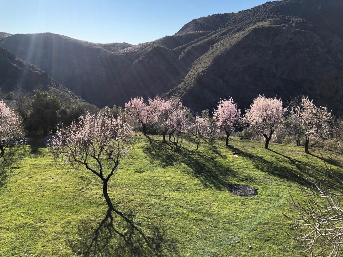 Casa Carmela, Rural House With Spectacular Views, In An Exquisite Area Βίλα Atalbeitar Εξωτερικό φωτογραφία
