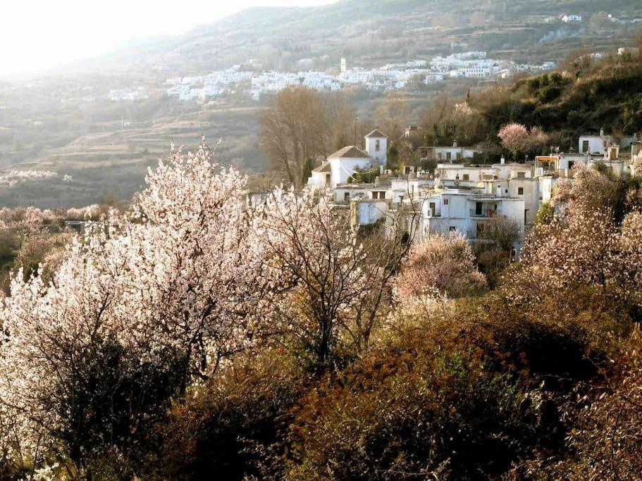 Casa Carmela, Rural House With Spectacular Views, In An Exquisite Area Βίλα Atalbeitar Εξωτερικό φωτογραφία