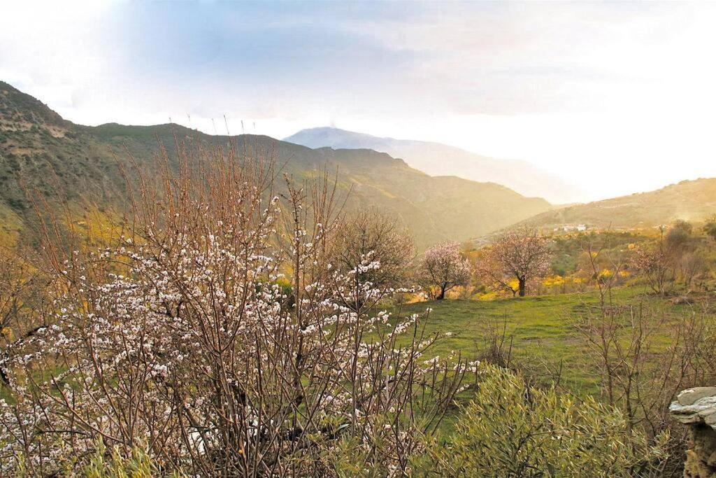 Casa Carmela, Rural House With Spectacular Views, In An Exquisite Area Βίλα Atalbeitar Εξωτερικό φωτογραφία