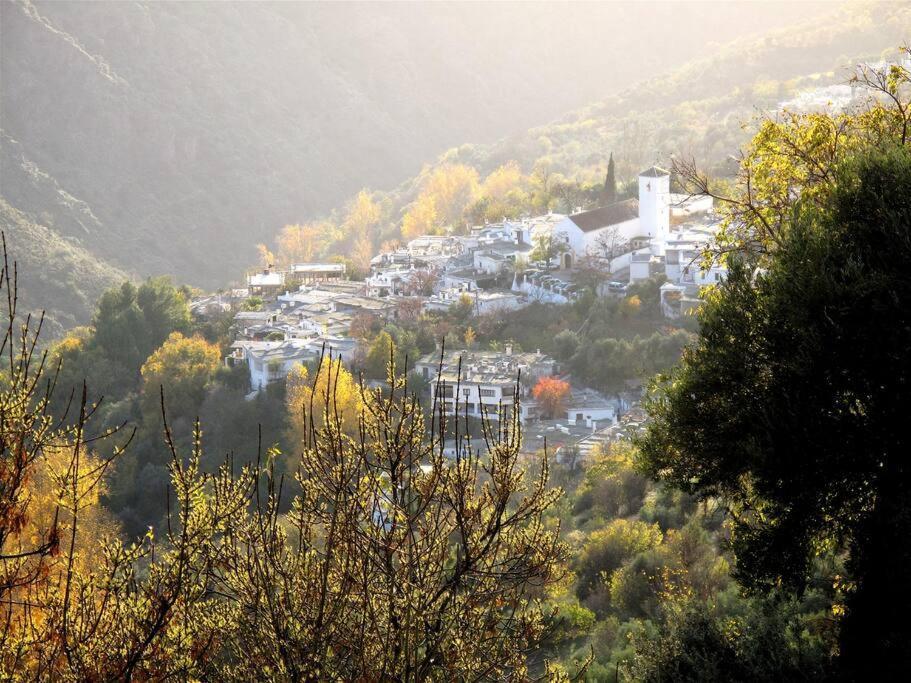 Casa Carmela, Rural House With Spectacular Views, In An Exquisite Area Βίλα Atalbeitar Εξωτερικό φωτογραφία
