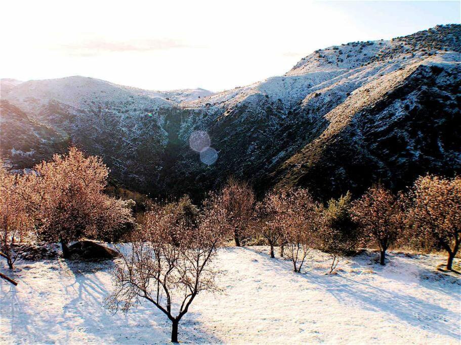 Casa Carmela, Rural House With Spectacular Views, In An Exquisite Area Βίλα Atalbeitar Εξωτερικό φωτογραφία