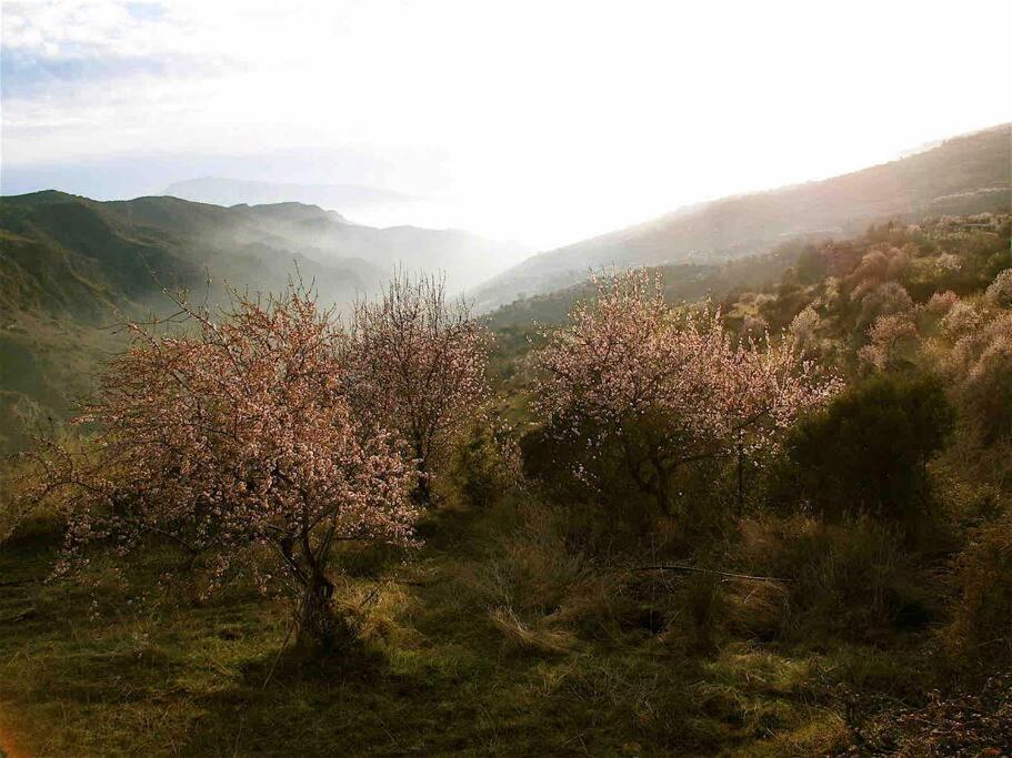 Casa Carmela, Rural House With Spectacular Views, In An Exquisite Area Βίλα Atalbeitar Εξωτερικό φωτογραφία