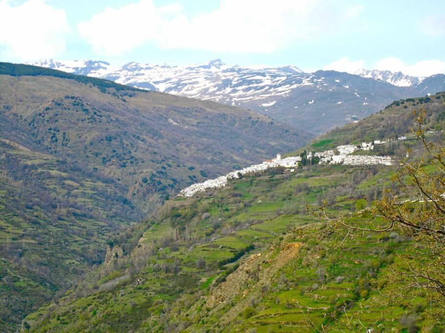 Casa Carmela, Rural House With Spectacular Views, In An Exquisite Area Βίλα Atalbeitar Εξωτερικό φωτογραφία