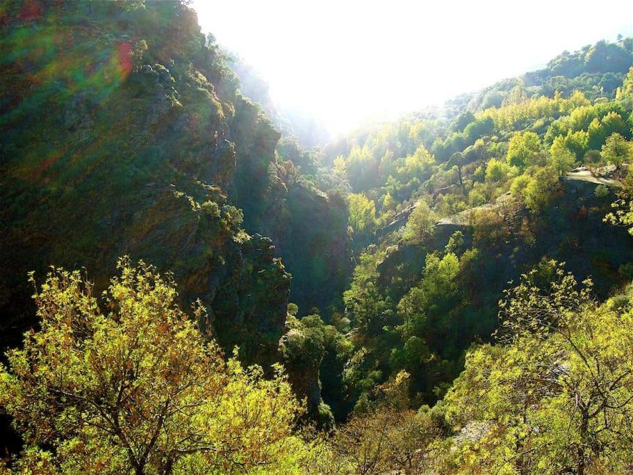 Casa Carmela, Rural House With Spectacular Views, In An Exquisite Area Βίλα Atalbeitar Εξωτερικό φωτογραφία