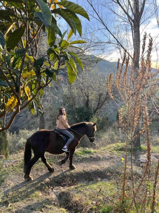Casa Carmela, Rural House With Spectacular Views, In An Exquisite Area Βίλα Atalbeitar Εξωτερικό φωτογραφία
